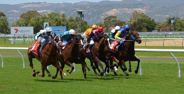 Online Gaming and Sports Betting Laws You Need to Know About